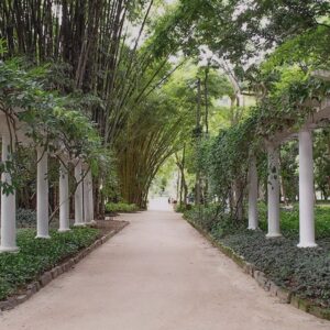 Rio Natureza — Jardim Botânico e Floresta da Tijuca